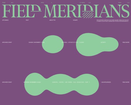 Field Meridians